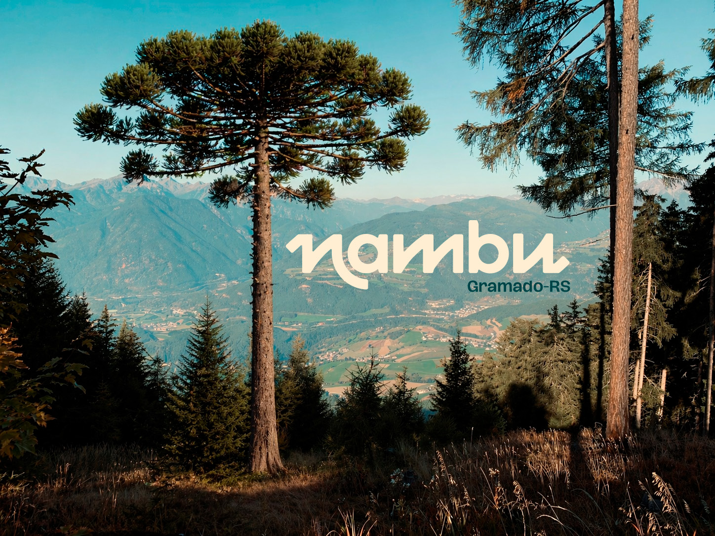 nambu — Identidade Visual