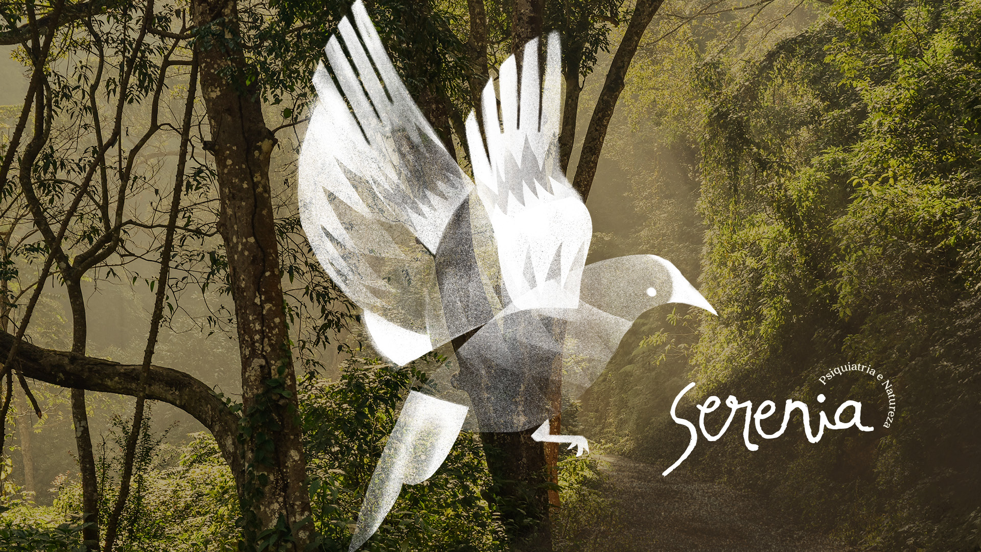 Serenia — Identidade Visual
