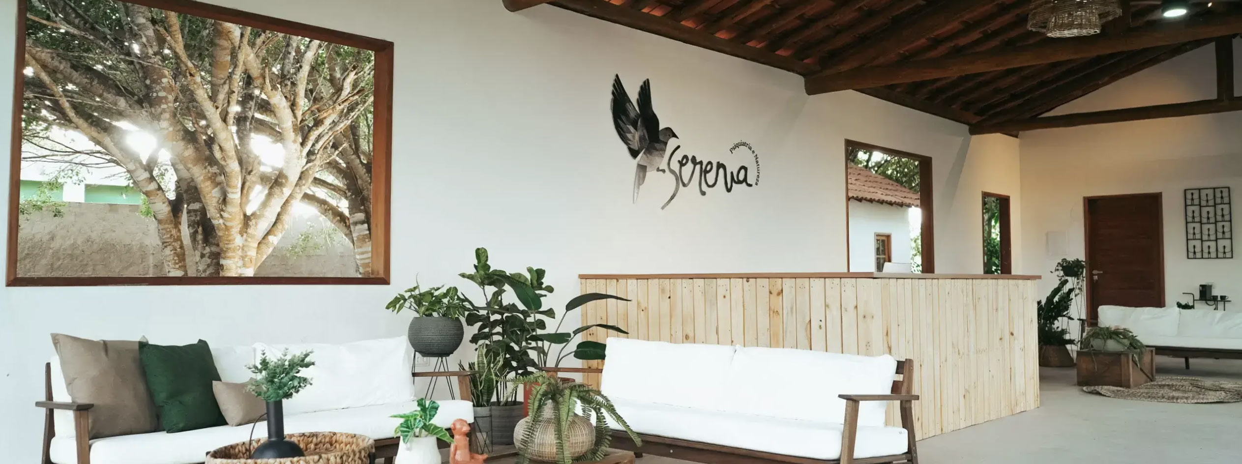 Serenia — Boas-vindas